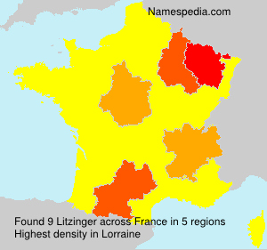 Surname Litzinger in France Surname Litzinger in France