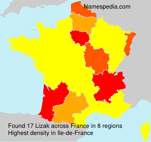 Lizak Lizak
