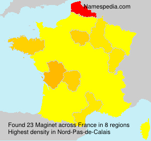 Surname Maginet in France