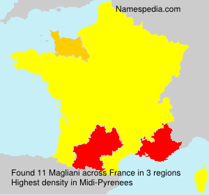 Surname Magliani in France Surname Magliani in France