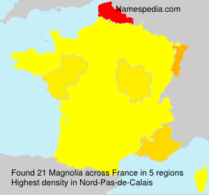 Surname Magnolia in France Surname Magnolia in France