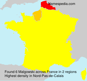 Surname Malgowski in France Surname Malgowski in France