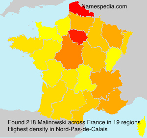 Surname Malinowski in France Surname Malinowski in France