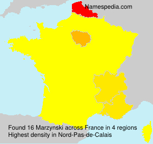 Marzynski Marzynski