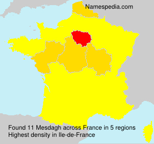 Surname Mesdagh in France Surname Mesdagh in France