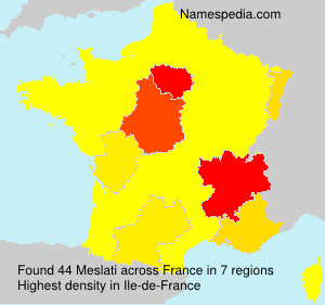 Surname Meslati in France Surname Meslati in France