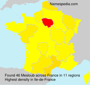 Surname Mesloub in France Surname Mesloub in France