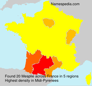 Surname Mesplie in France Surname Mesplie in France