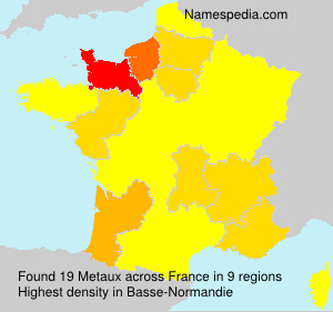 Surname Metaux in France