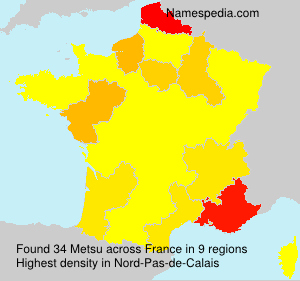 Surname Metsu in France Surname Metsu in France
