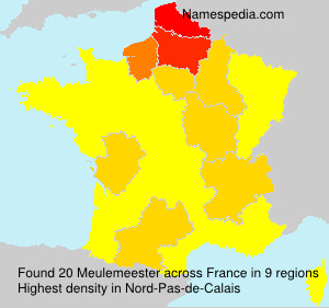 Surname Meulemeester in France Surname Meulemeester in France