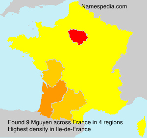 Surname Mguyen in France Surname Mguyen in France