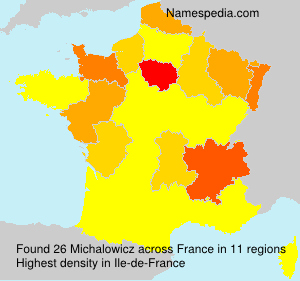 Surname Michalowicz in France Surname Michalowicz in France
