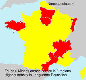 Surname Minarik in France