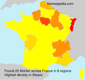 Surname Mohler in France