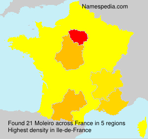 Surname Moleiro in France Surname Moleiro in France