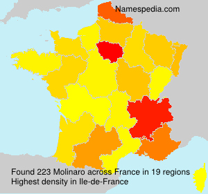Surname Molinaro in France