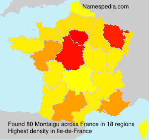 Surname Montaigu in France Surname Montaigu in France