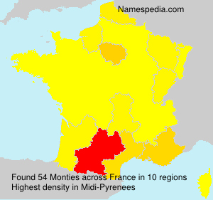 Surname Monties in France