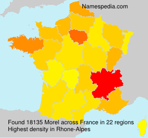 Surname Morel in France Surname Morel in France