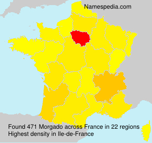 Surname Morgado in France