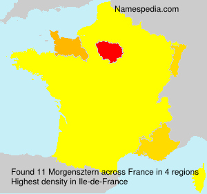 Surname Morgensztern in France