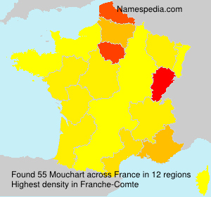 Surname Mouchart in France Surname Mouchart in France