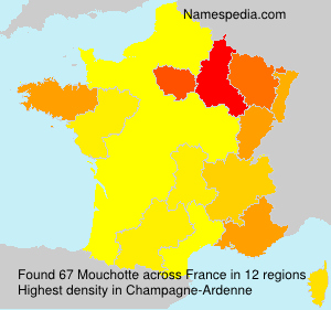Surname Mouchotte in France