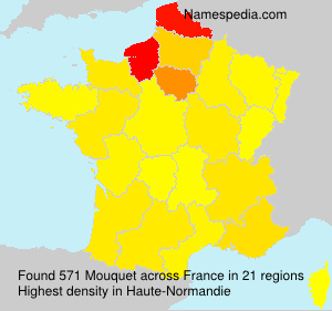 Surname Mouquet in France Surname Mouquet in France