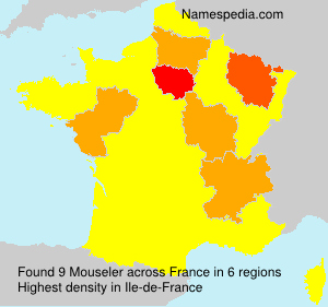 Surname Mouseler in France Surname Mouseler in France