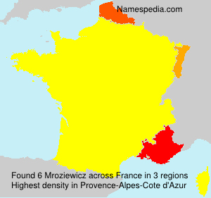 Surname Mroziewicz in France Surname Mroziewicz in France