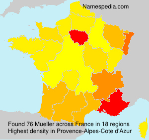Surname Mueller in France