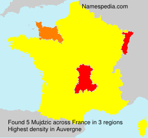 Surname Mujdzic in France Surname Mujdzic in France