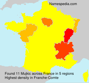 Surname Mujkic in France Surname Mujkic in France