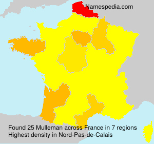 Mulleman Mulleman
