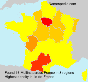 Surname Mullins in France Surname Mullins in France