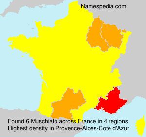 Surname Muschiato in France Surname Muschiato in France