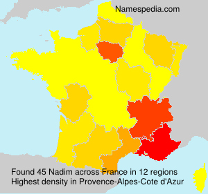 Surname Nadim in France Surname Nadim in France