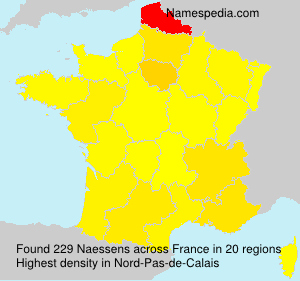 Surname Naessens in France Surname Naessens in France