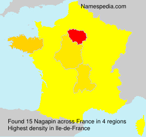 Surname Nagapin in France