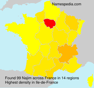 Surname Najim in France Surname Najim in France