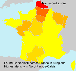 Surname Naninck in France