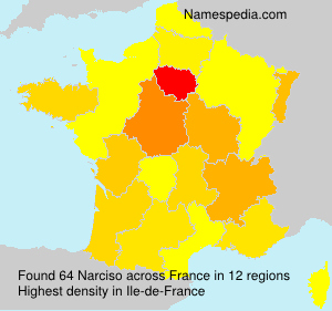 Surname Narciso in France Surname Narciso in France