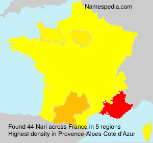 Surname Nari in France Surname Nari in France