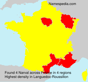 Narval Narval