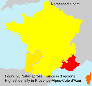 Surname Nativi in France