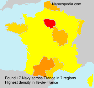 Surname Navy in France