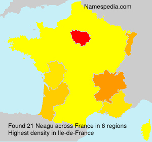 Surname Neagu in France