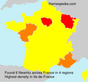Surname Neamtu in France Surname Neamtu in France