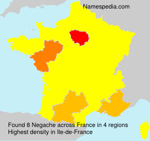 Surname Negache in France Surname Negache in France